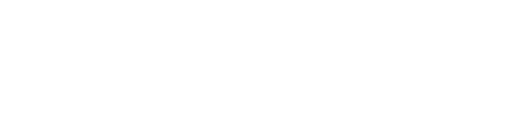 Consult.HN Logo in weiß